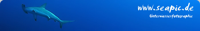 banner_seapic0705