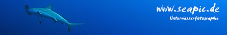 seapic_banner